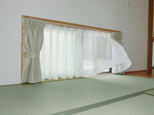 CIMG2140 (2500x1875).jpg